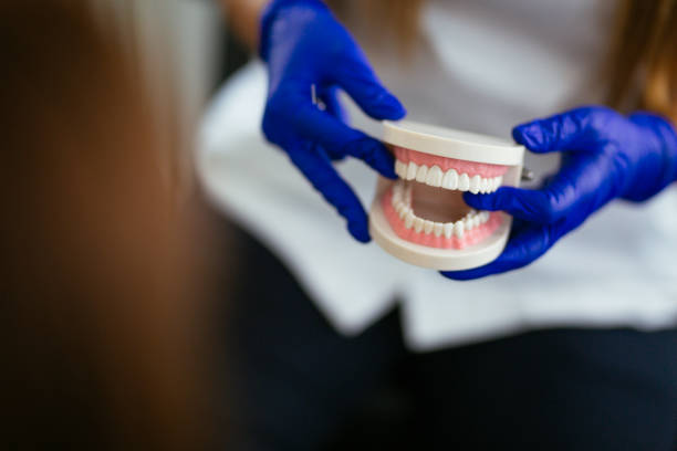 Reliable Flomaton, AL  Holistic Dental Services Solutions